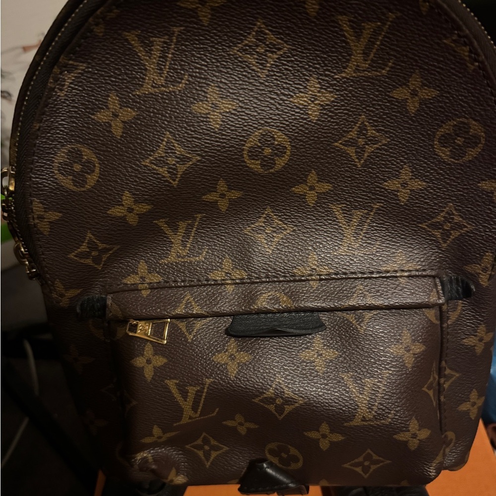Louis Vuitton pm backpack